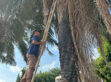 Big Cleaning Day พารามิเตอร์รูปภาพ 25